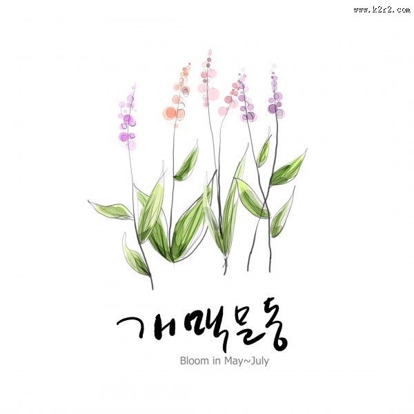 花草素描图片大全