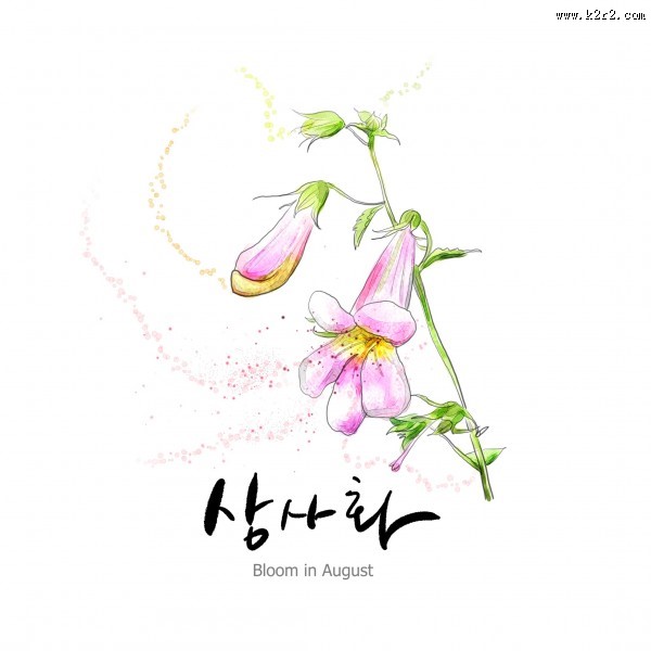 花草素描图片大全