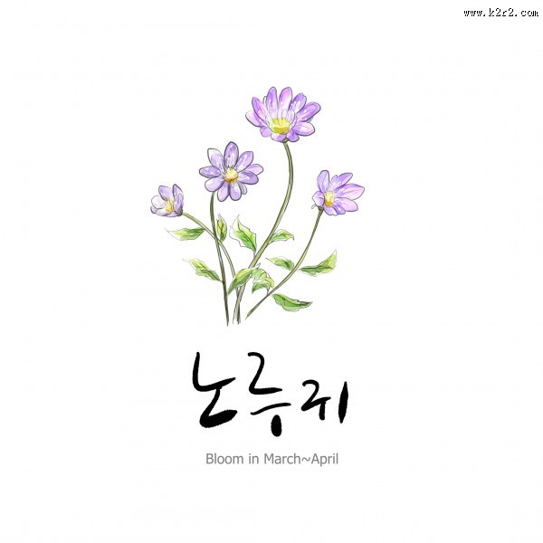 花草素描图片大全