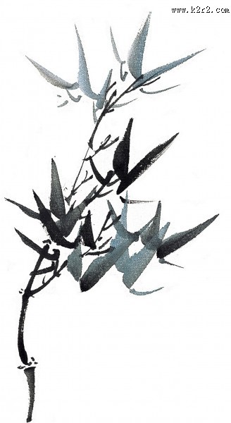 水墨竹子图片大全