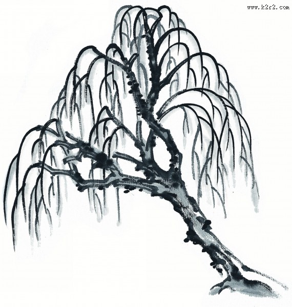 水墨柳树图片