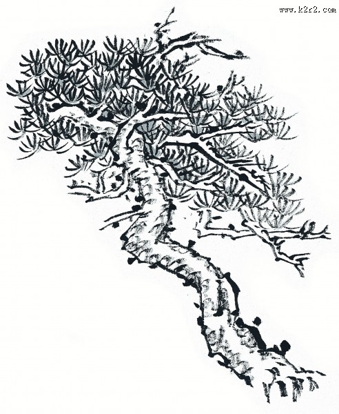水墨松树图片
