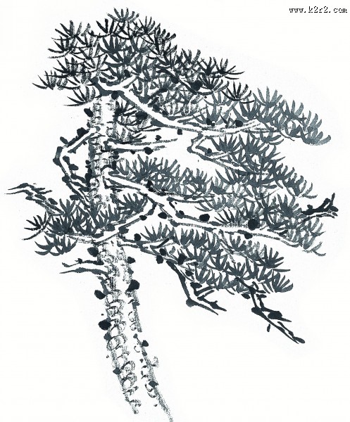 水墨松树图片