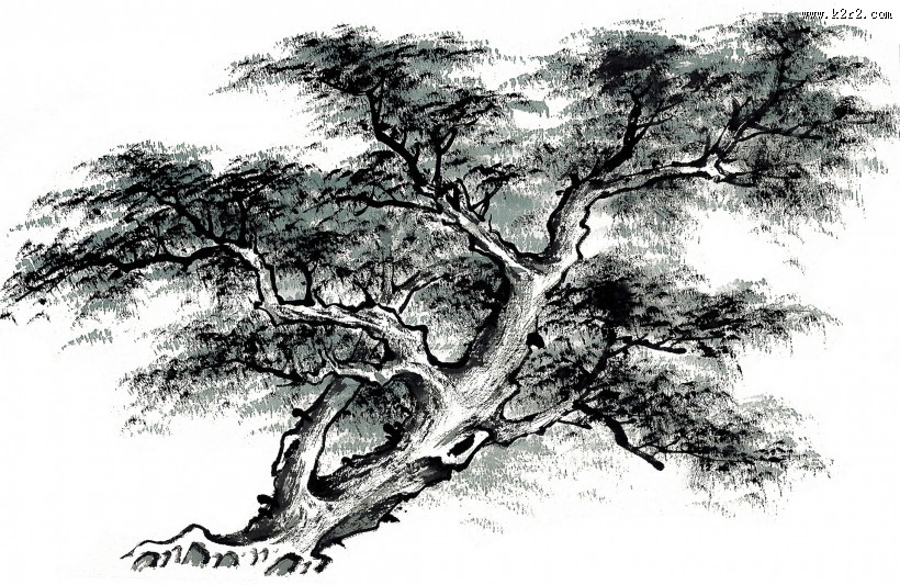 古树水墨画图片