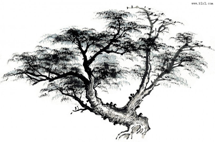 古树水墨画图片