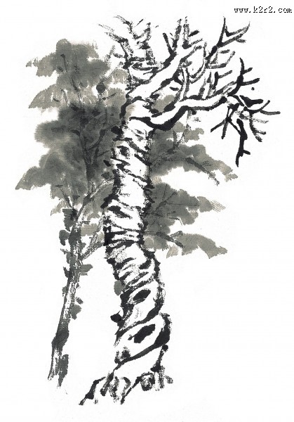 古树水墨画图片