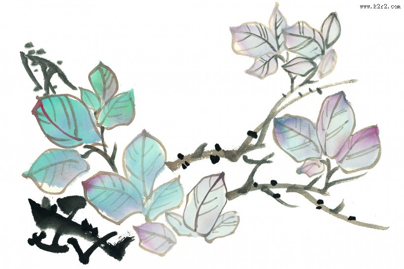 玉兰绘画图片