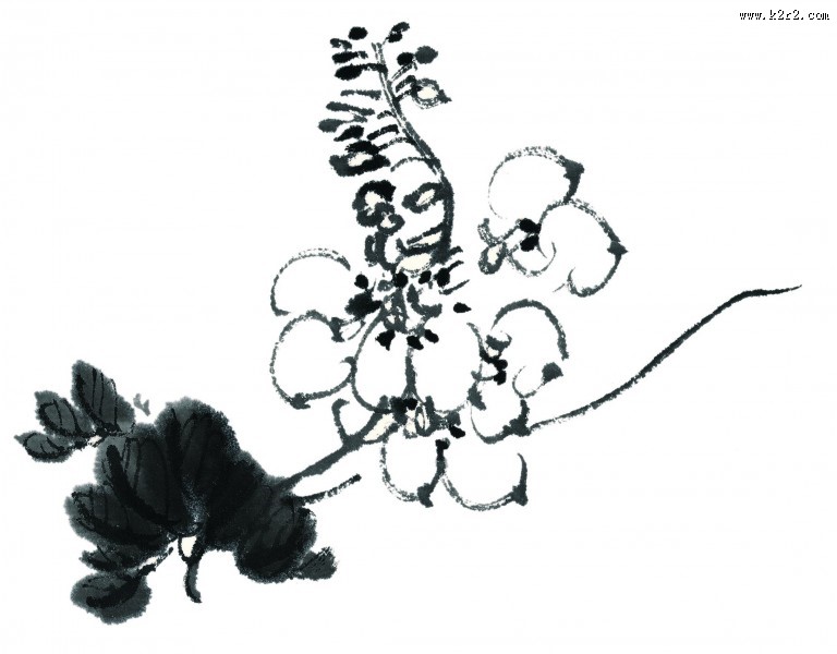 水墨花卉图片