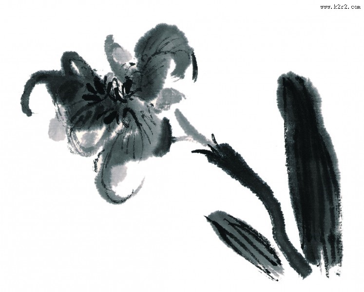 水墨花卉图片