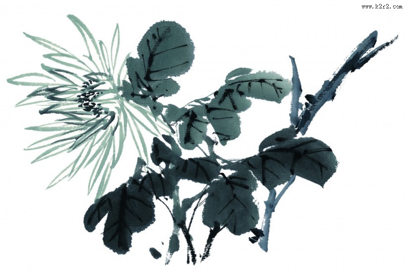 水墨花卉图片