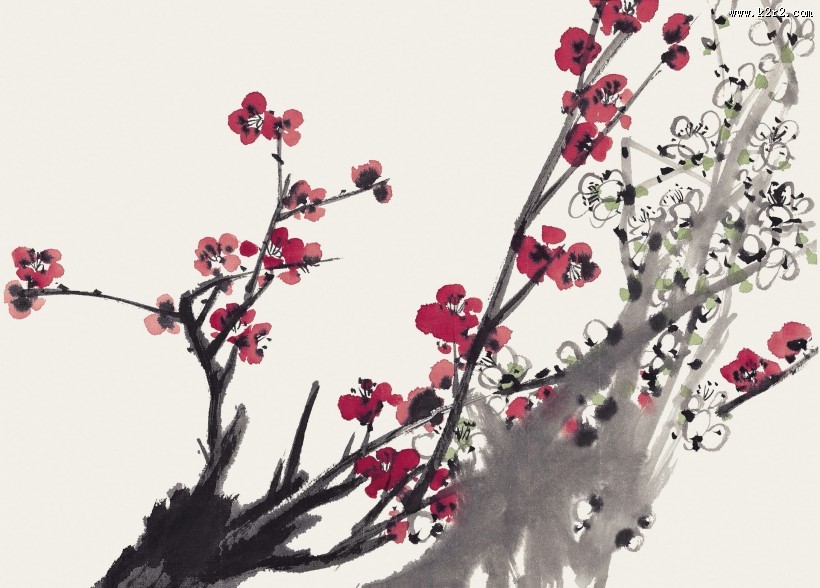 国画梅花图片大全