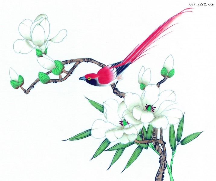 工笔花鸟图片