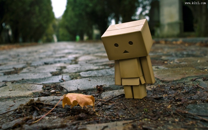 卡通可爱盒子图片大全