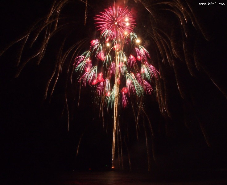 夜空中美丽的烟花图片大全