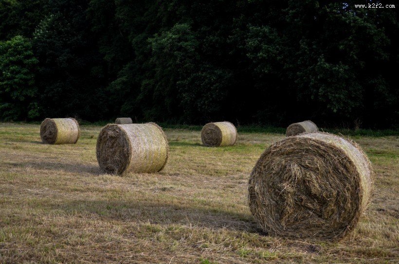 秋天的草垛图片
