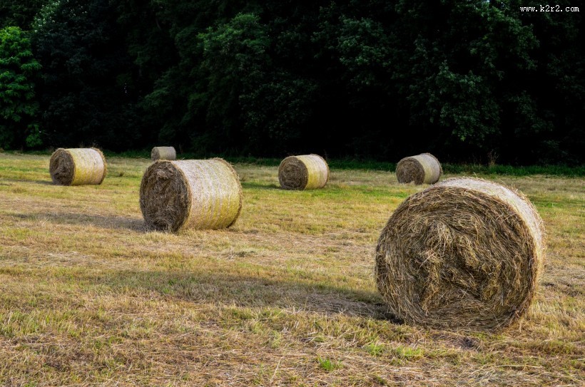 秋天的草垛图片