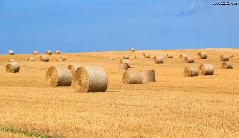 卷成圆形的干草图片