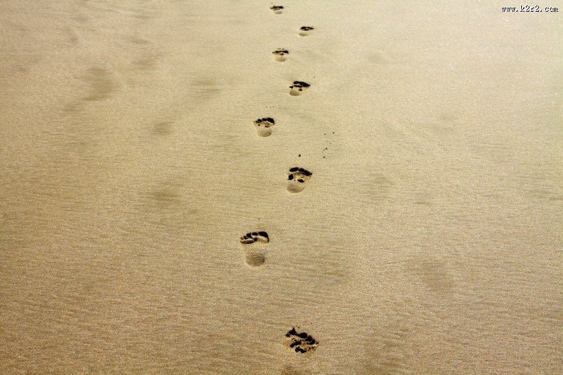 沙滩上的脚印图片