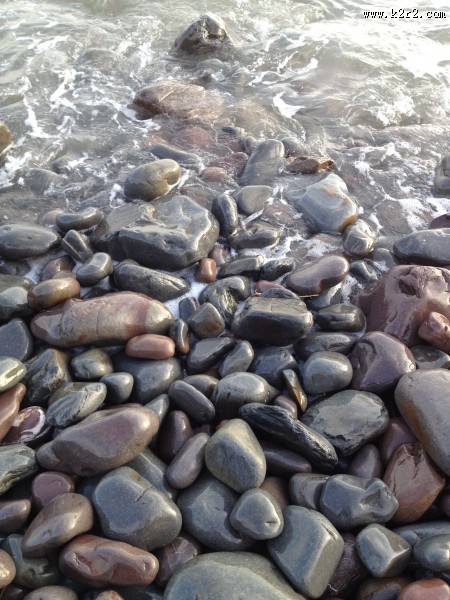 圆滑的鹅卵石图片