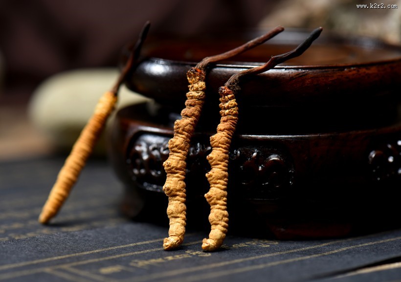 高品质的虫草图片大全