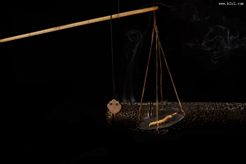 高品质的虫草图片大全