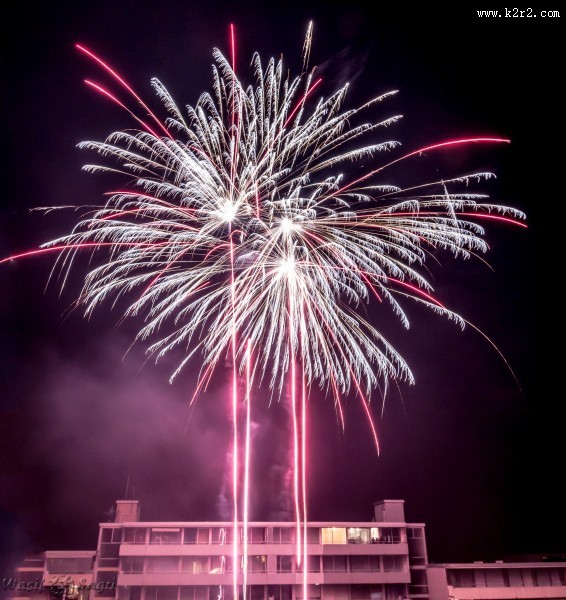 美丽的烟花图片大全