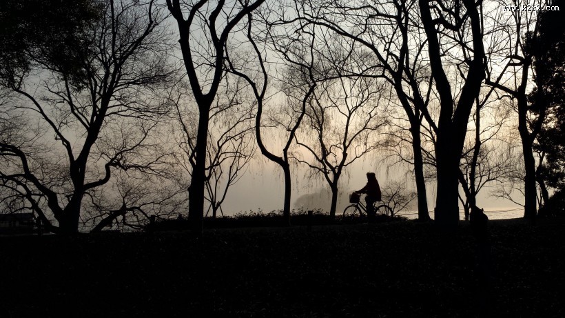 美丽的剪影图片大全