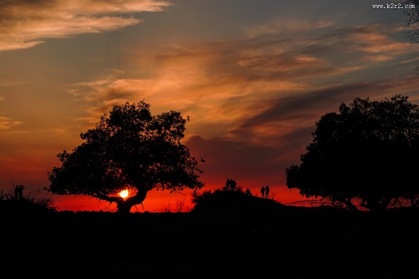 美丽的剪影图片大全