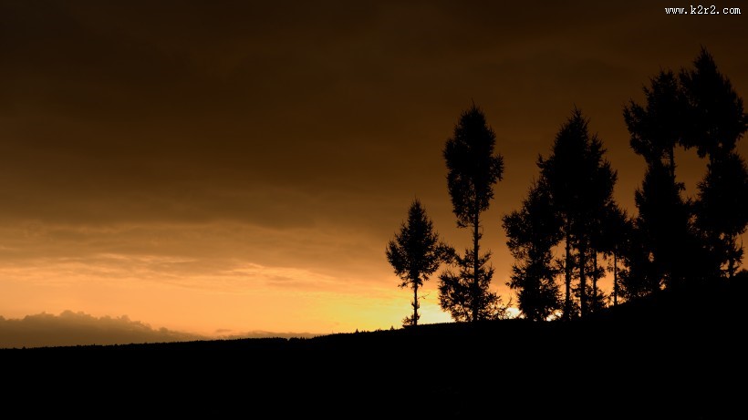 美丽的剪影图片大全