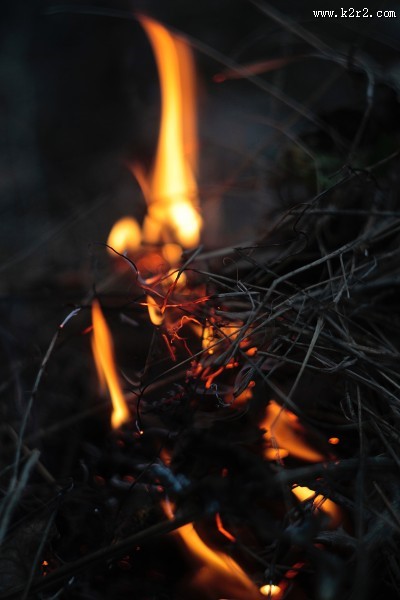 用木材点然的火焰图片