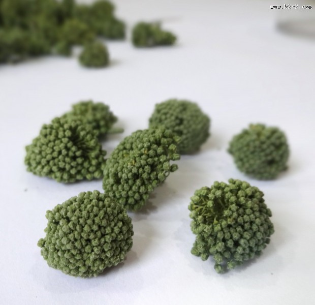 新鲜三七花图片大全