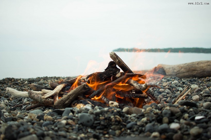 用木材烧的火堆图片