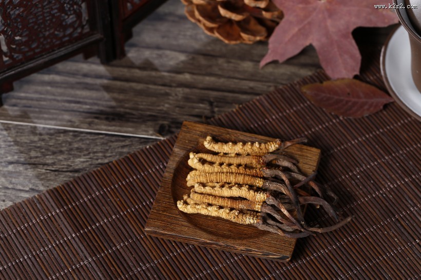 珍贵的野生冬虫夏草图片