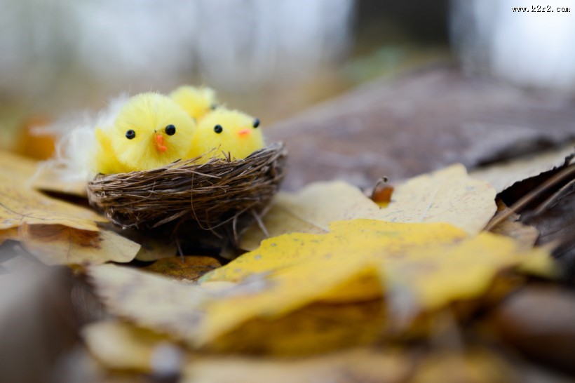 可爱的玩具小鸟的巢大全