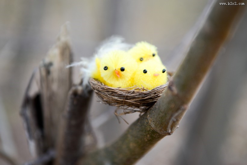 可爱的玩具小鸟的巢大全