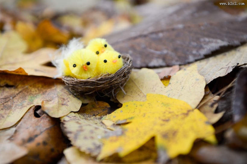 可爱的玩具小鸟的巢大全