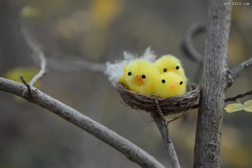 可爱的玩具小鸟的巢大全