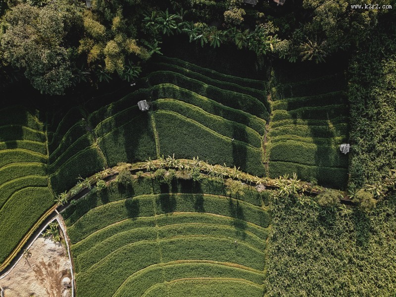 梯田风景图片