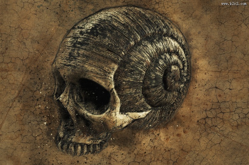 骷髅头骨图片大全