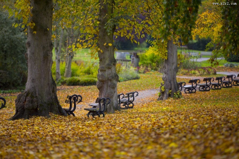 公园中的长椅图片
