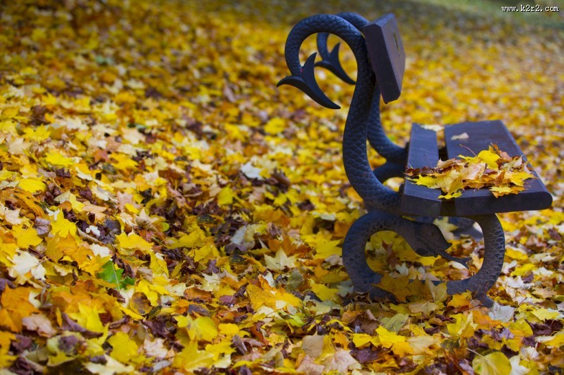 公园中的长椅图片