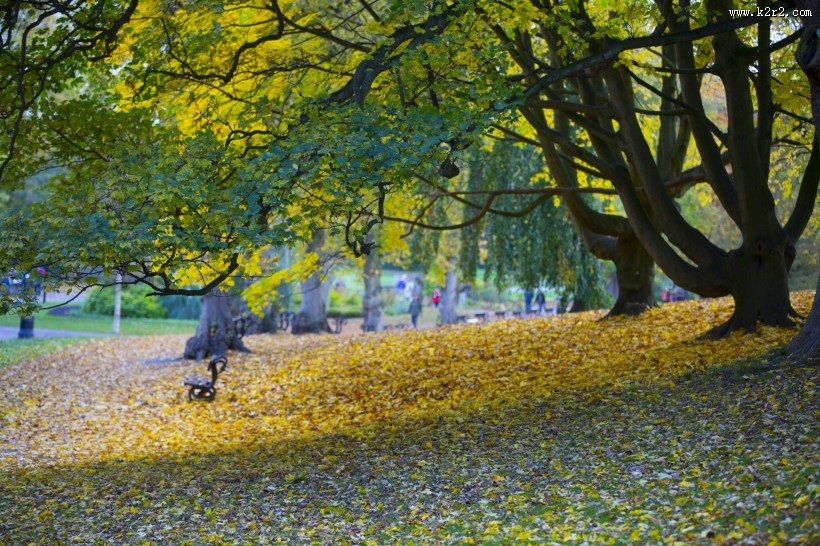 公园中的长椅图片