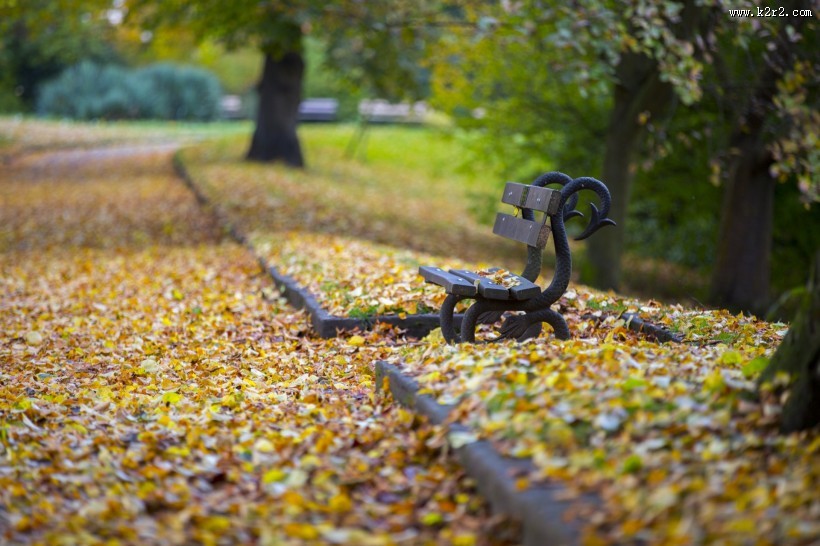 公园中的长椅图片