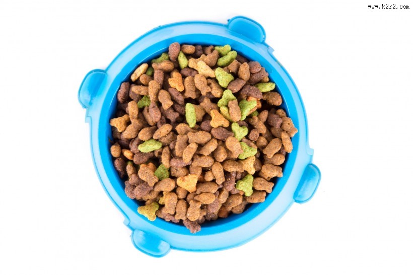 猫粮图片大全