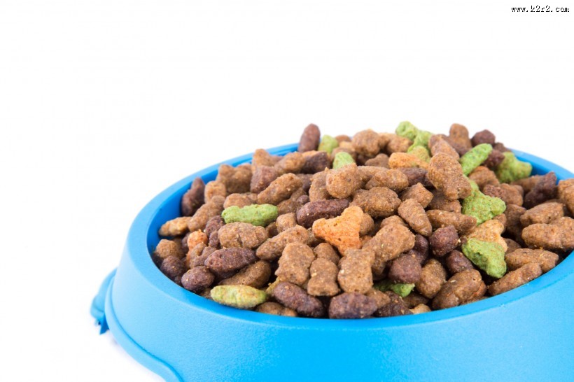 猫粮图片大全