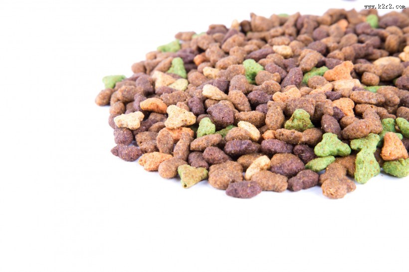 猫粮图片大全
