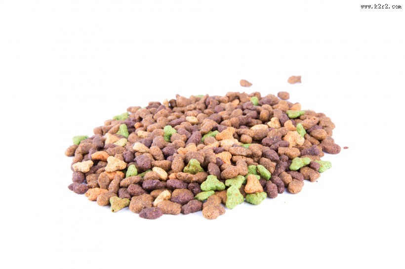 猫粮图片大全