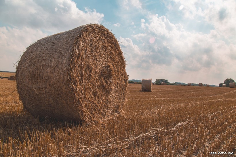 圆形的干草垛图片