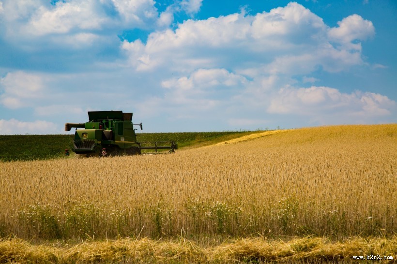 正在收割麦子的收割机图片