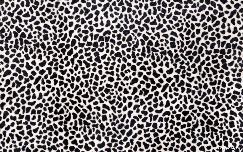 皮毛背景特写图片